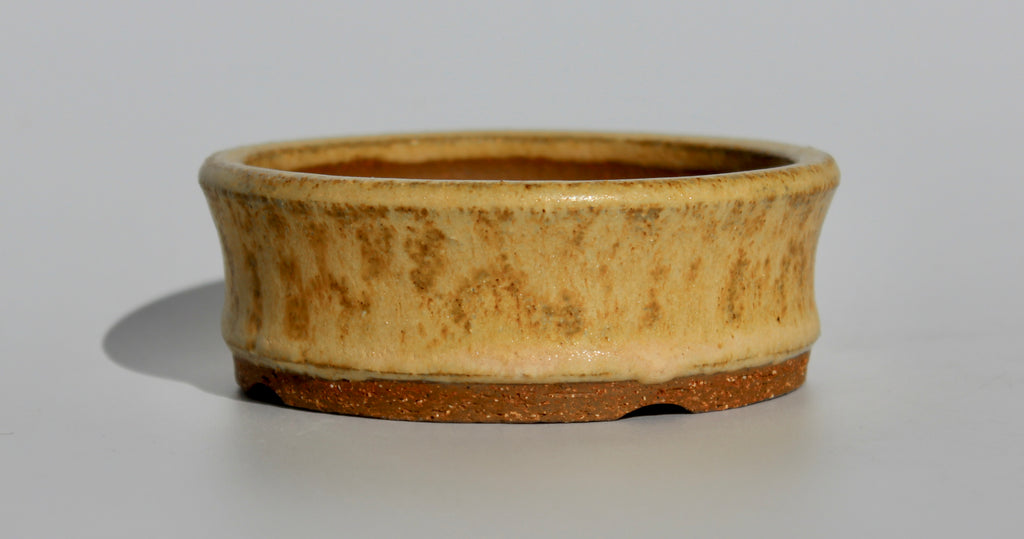 Round bonsai pot in. matte yellow glaze 105mm