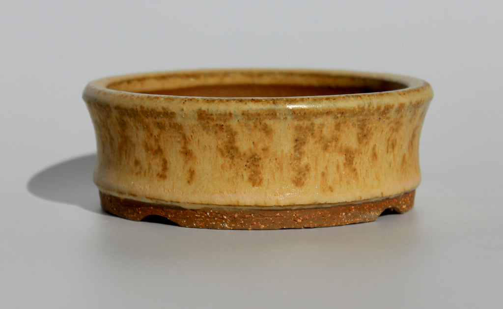 Round bonsai pot in. matte yellow glaze 105mm
