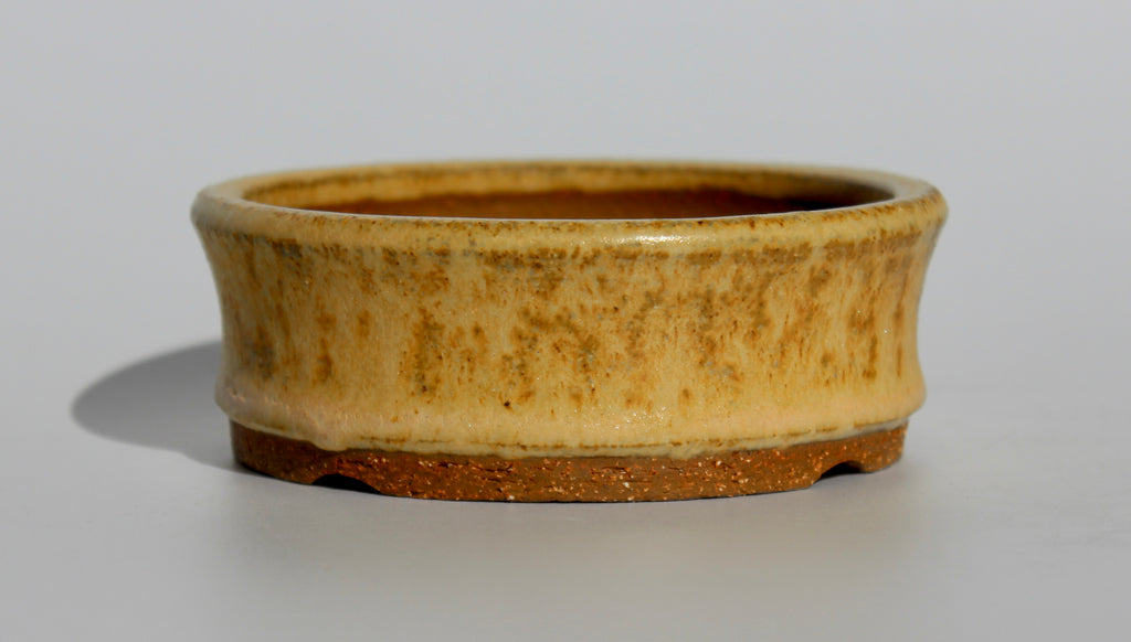 Round bonsai pot in. matte yellow glaze 105mm
