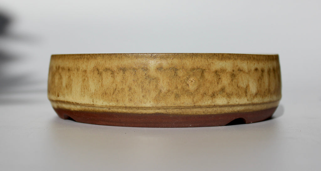 Round bonsai pot in a matte yellow glaze.  D.153mm