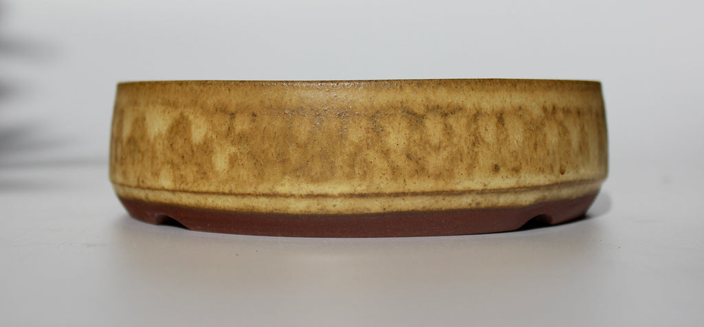 Round bonsai pot in a matte yellow glaze.  D.153mm