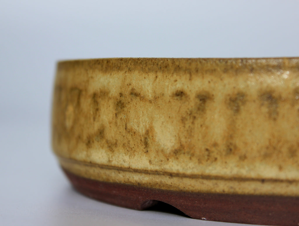 Round bonsai pot in a matte yellow glaze.  D.153mm