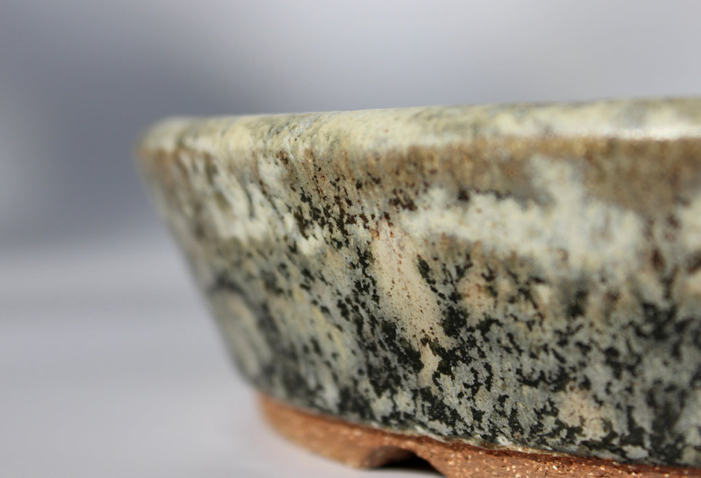 Round bonsai pot in a matte cream and green glaze. D.215mm