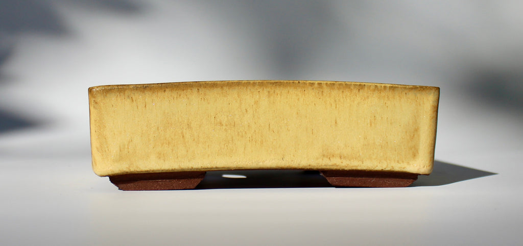Rectangular bonsai pot in a matte yellow glaze. 156x116mm