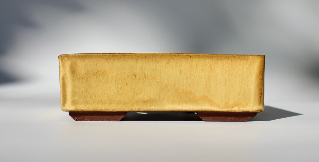 Rectangular bonsai pot in a matte yellow glaze. 156x116mm