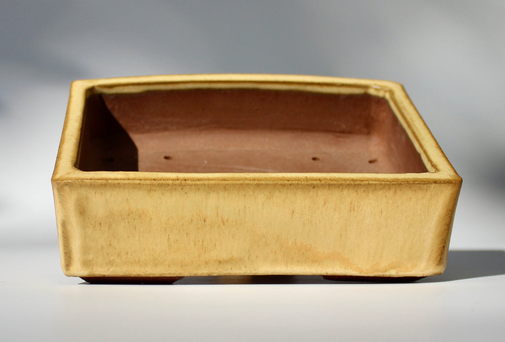Rectangular bonsai pot in a matte yellow glaze. 156x116mm