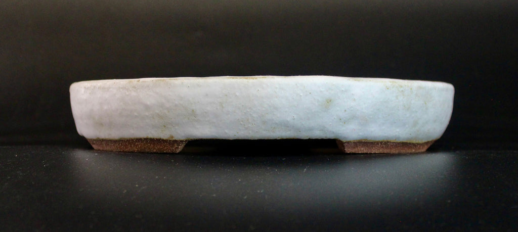 Oval bonsai pot in a matte white glaze 230x196mm